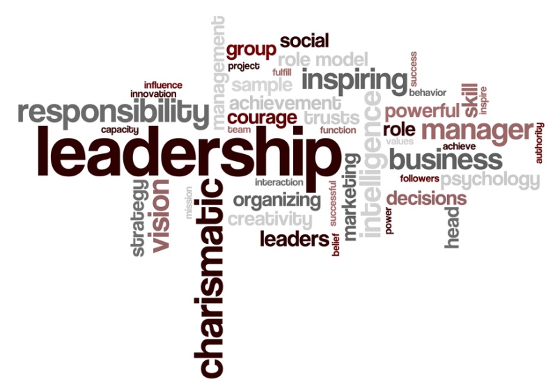 leadership wordcloud_800x561(2)